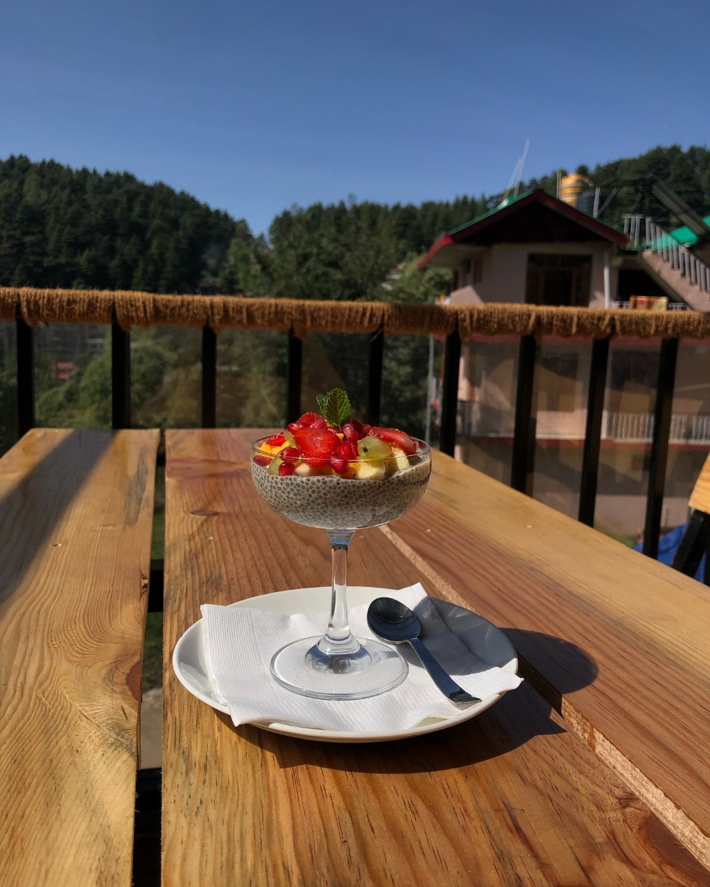 Chia pudding with fresh fruits