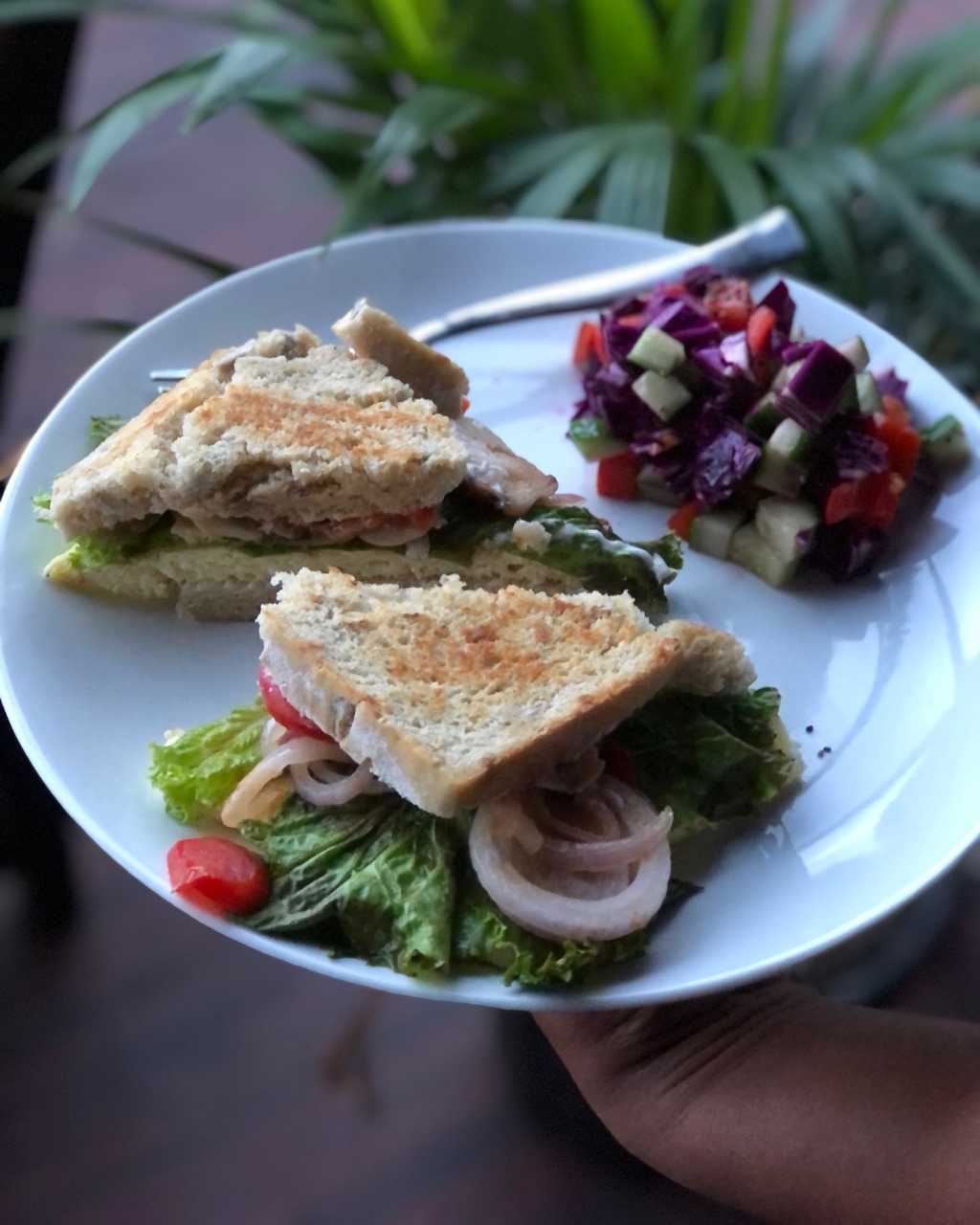 Grilled sandwich with fresh salad
